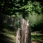 Chateau Du Pont D'oye Bed & Breakfast