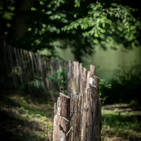Chateau Du Pont D'oye Bed & Breakfast