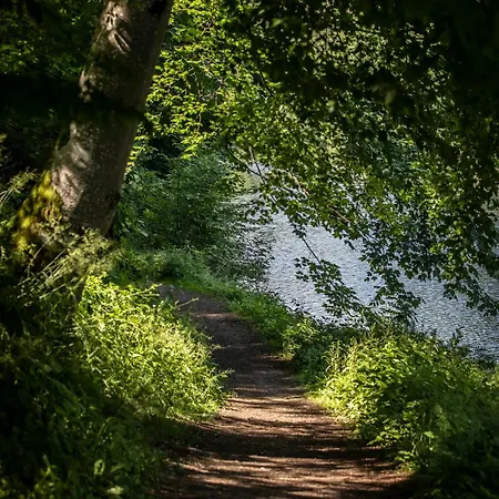 Chateau Du Pont D'oye Frühstückspension Habay-la-Neuve