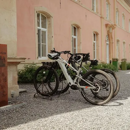 Bed & Breakfast Chateau Du Pont D'oye 3*