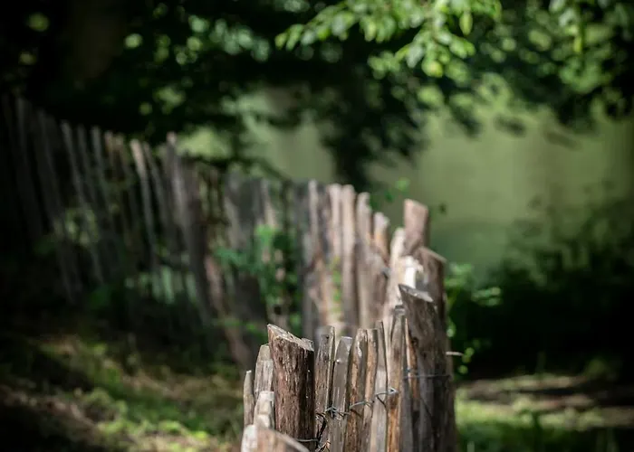 Chateau Du Pont D'oye Bed & Breakfast