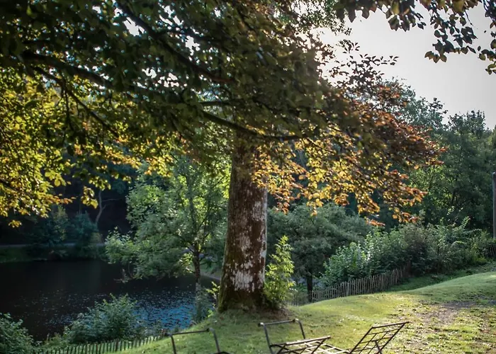 Bed & Breakfast Chateau Du Pont D'oye 3*